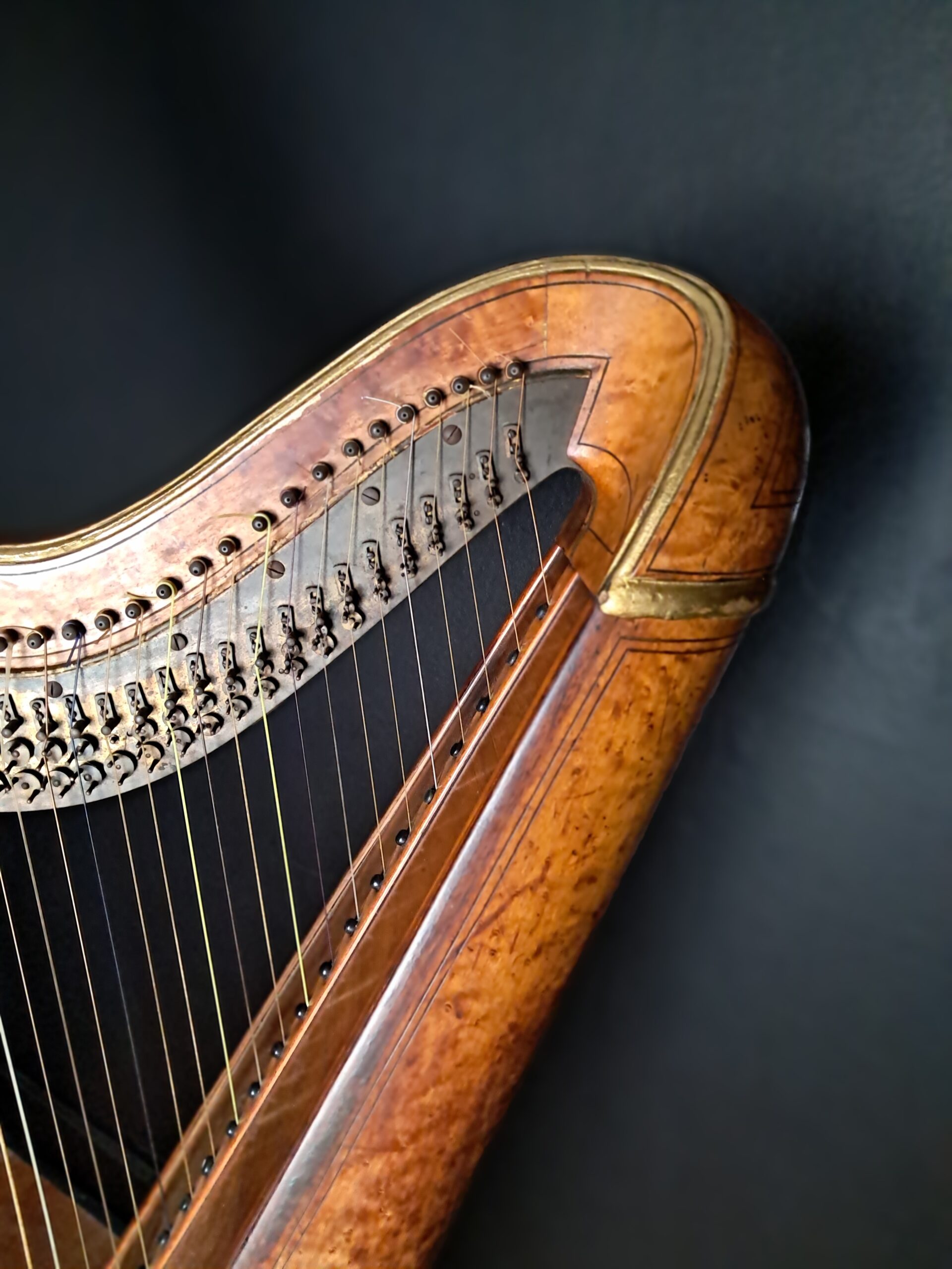 CL7043 - Double pedal harp - Image 9