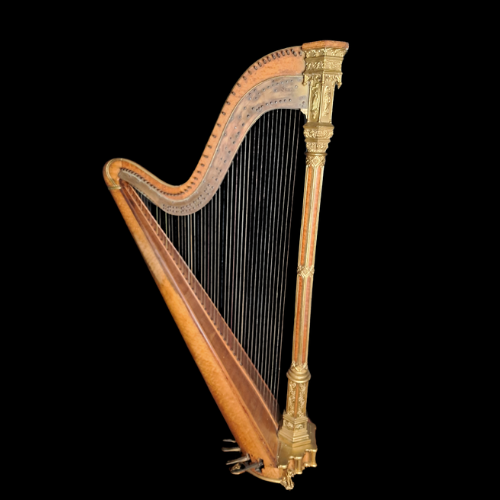Musical Instruments